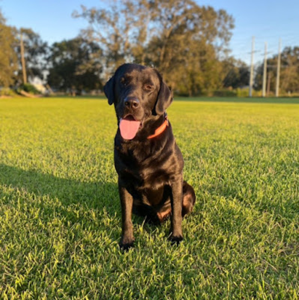 Meet your Posher, Hailey